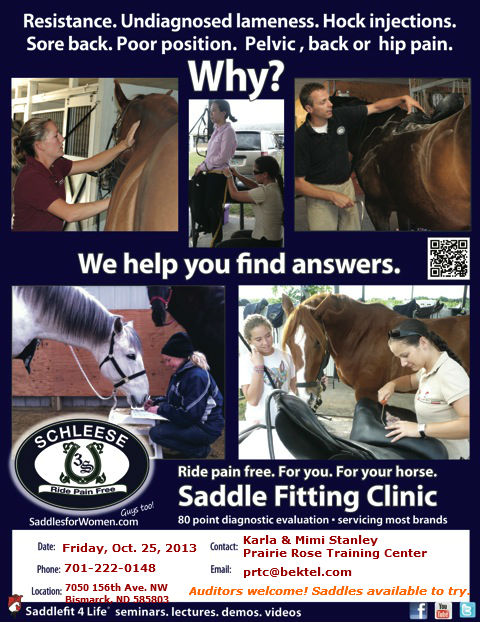 Schleese Clinic Poster 2013 - info